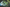 Scrolltext