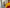 Aktionsbanner