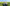 Scrolltext