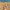 Scrolltext